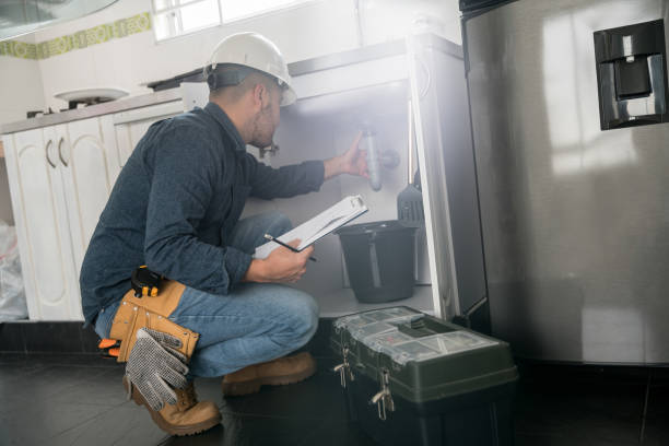 Best Plumbing Services Near Me  in Duquesne, MO